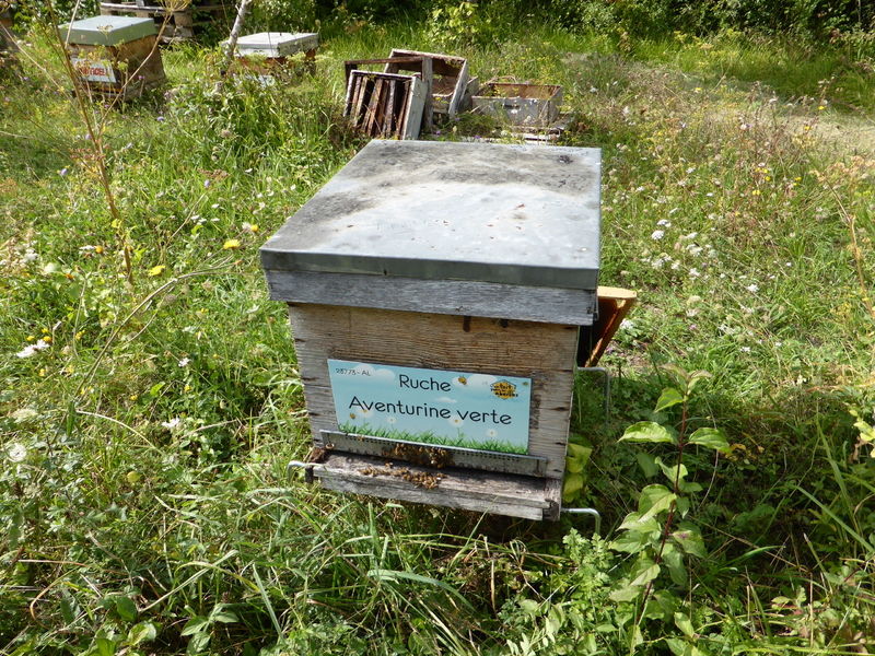 La ruche Aventurine verte