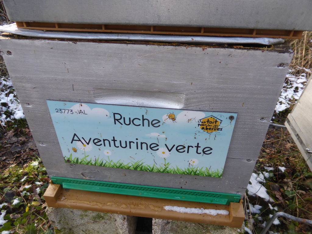 La ruche Aventurine verte