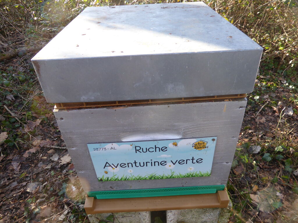 La ruche Aventurine verte