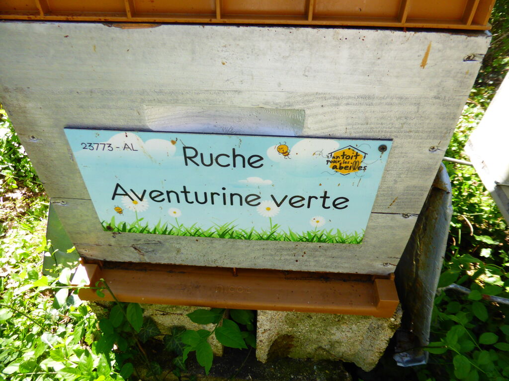 La ruche Aventurine verte