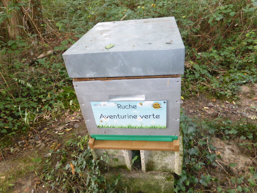 La ruche Aventurine verte