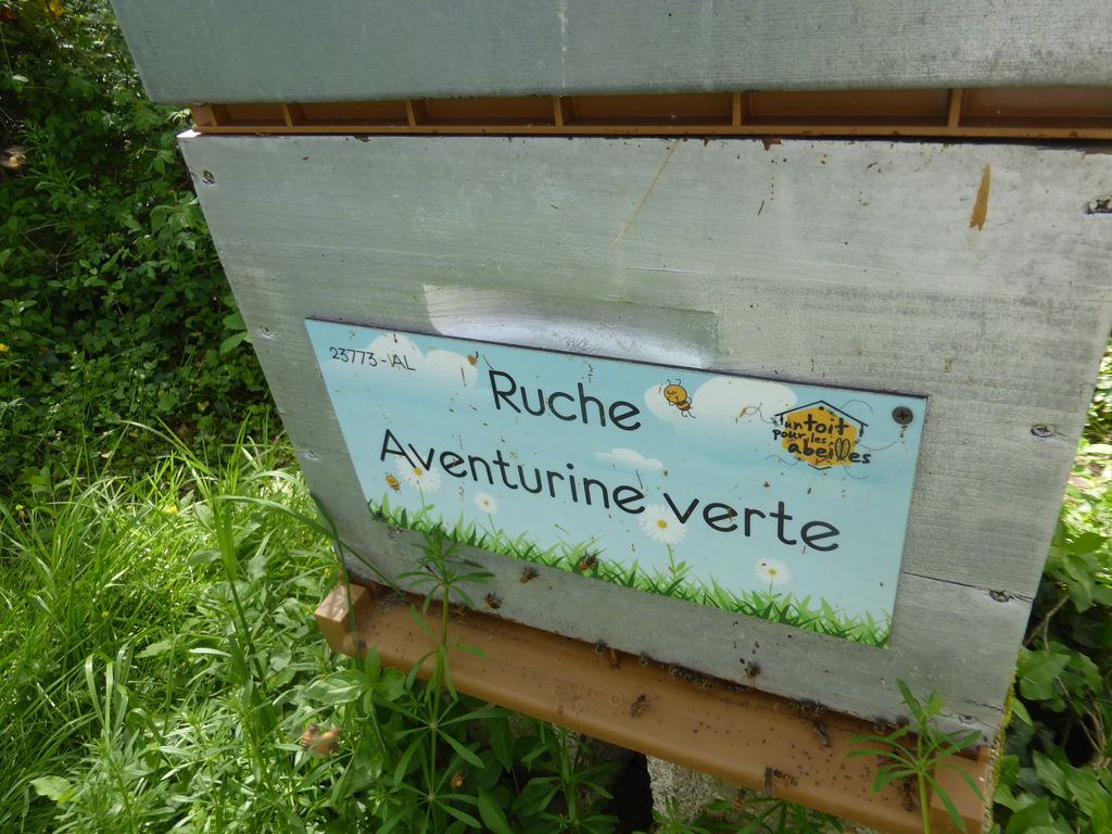 La ruche Aventurine verte