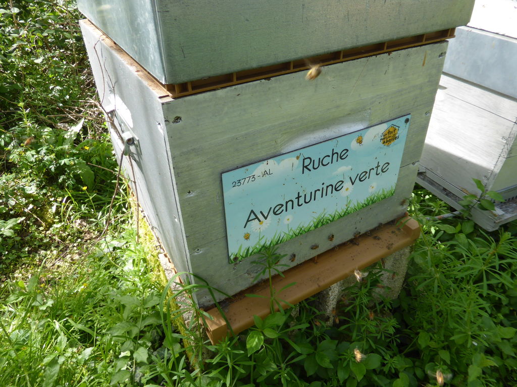 La ruche Aventurine verte