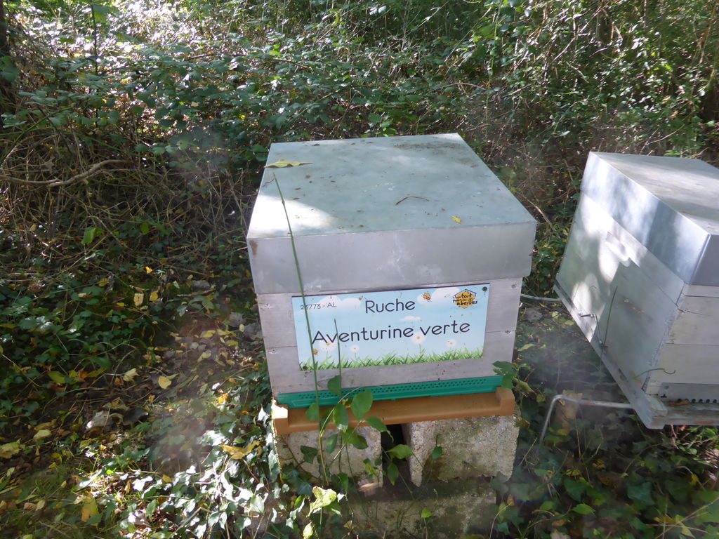 La ruche Aventurine verte
