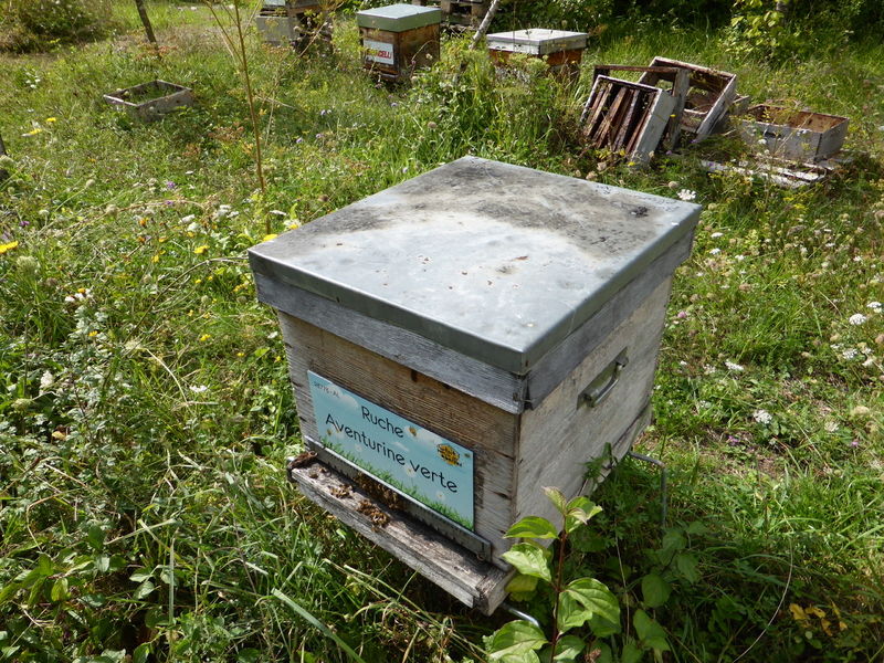 La ruche Aventurine verte