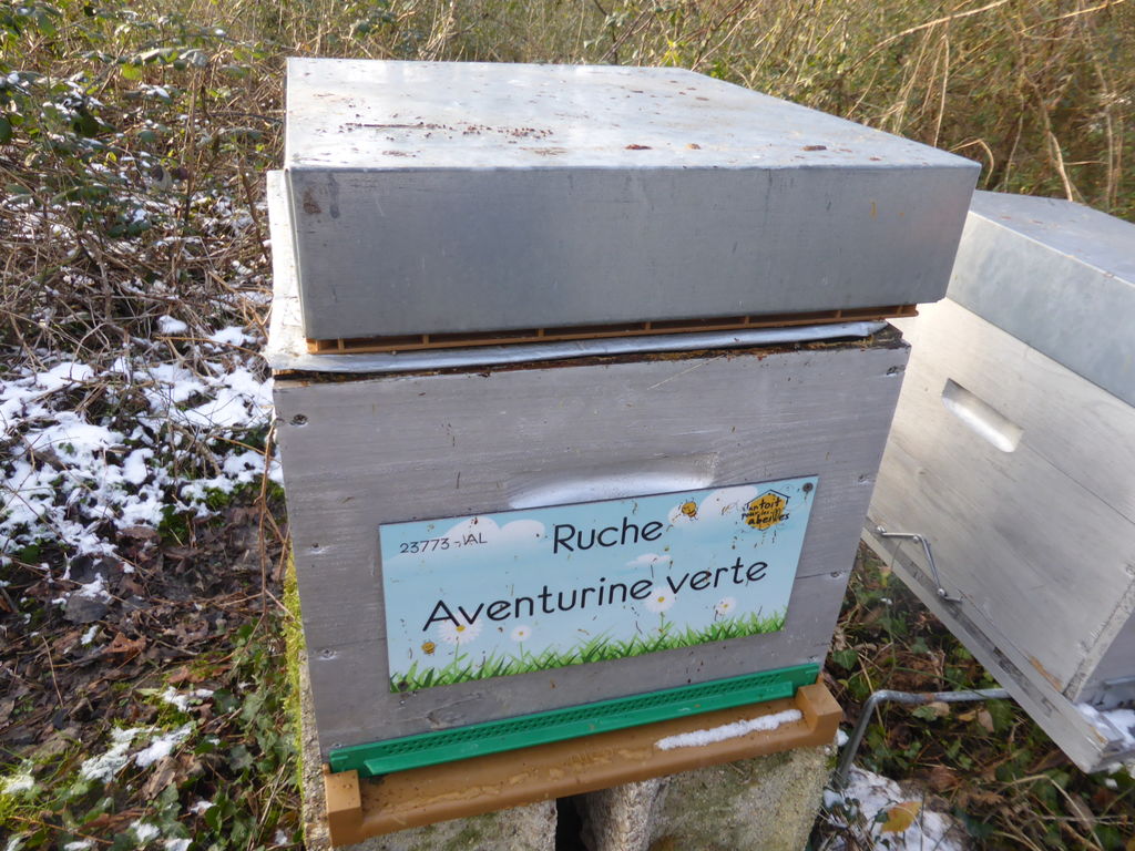 La ruche Aventurine verte