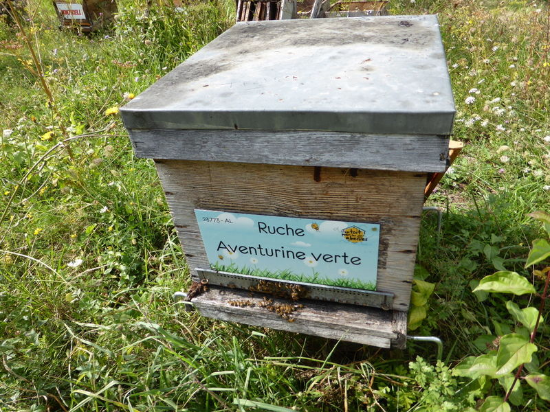 La ruche Aventurine verte