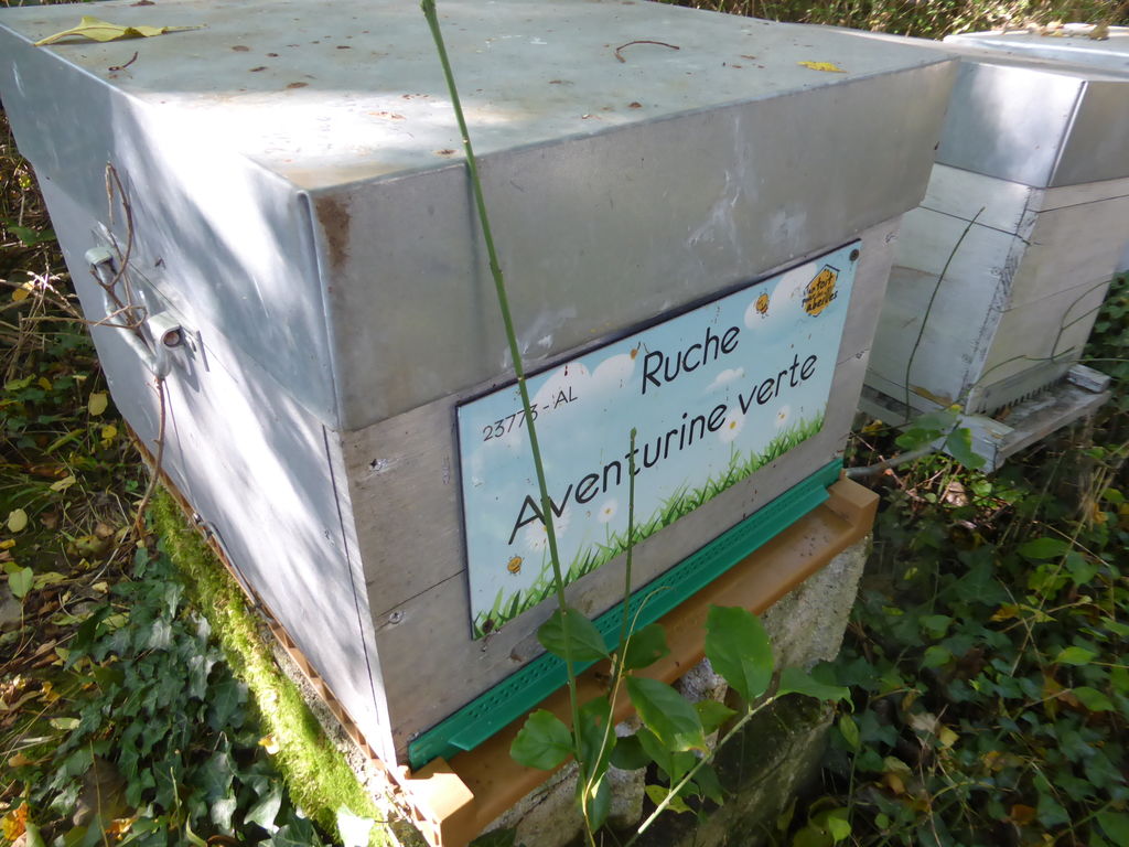 La ruche Aventurine verte
