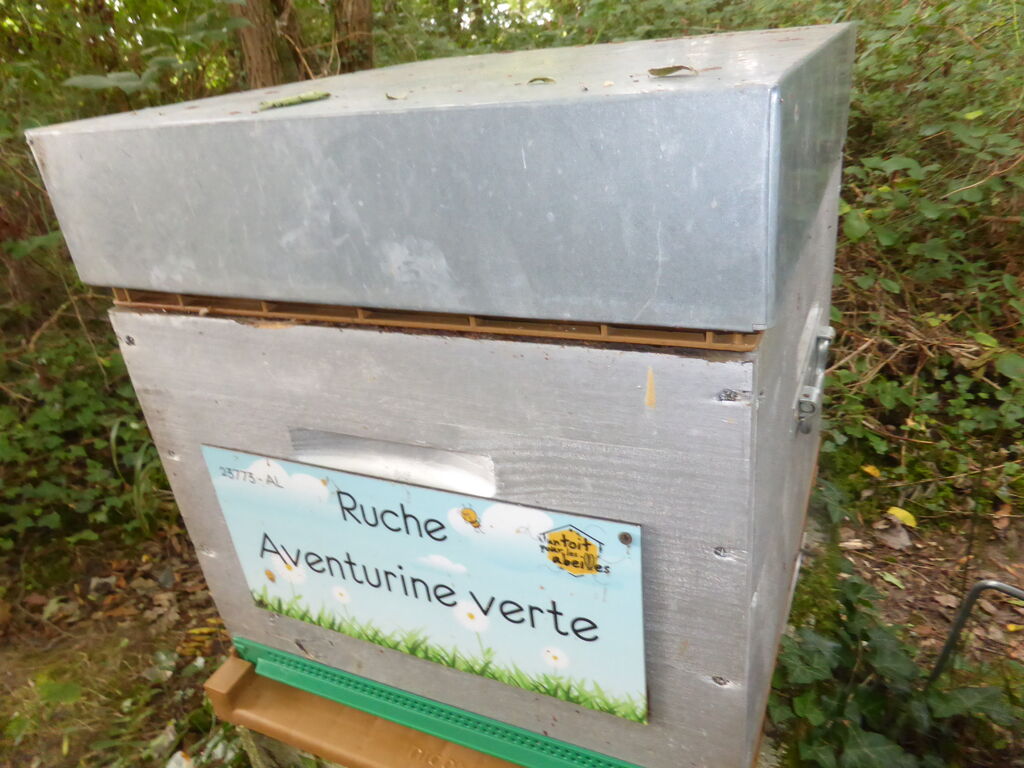 La ruche Aventurine verte