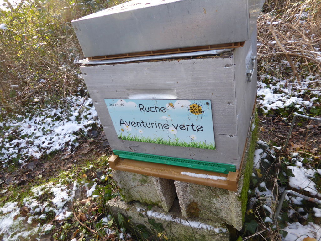 La ruche Aventurine verte