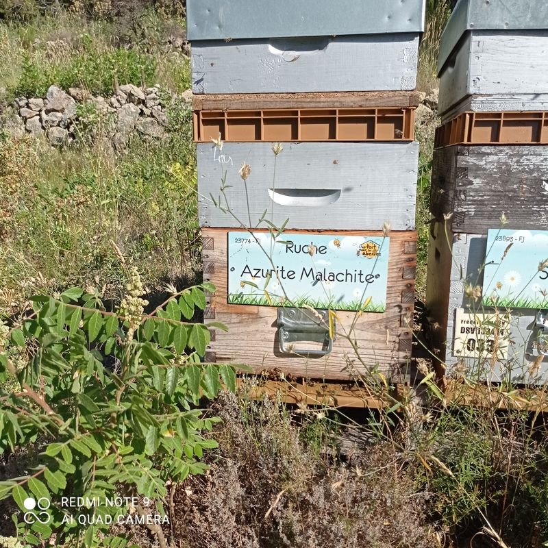 La ruche Azurite Malachite