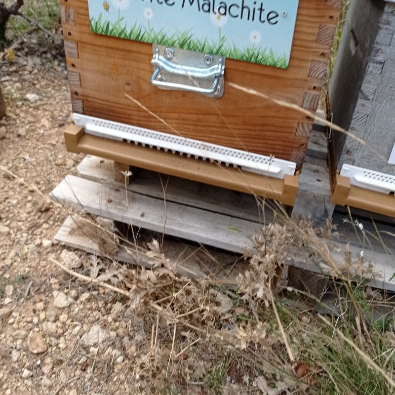 La ruche Azurite Malachite