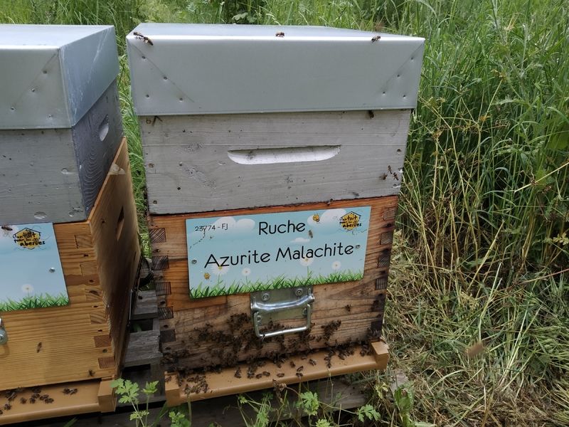 La ruche Azurite Malachite