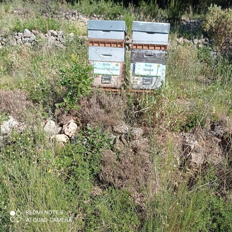 La ruche Azurite Malachite