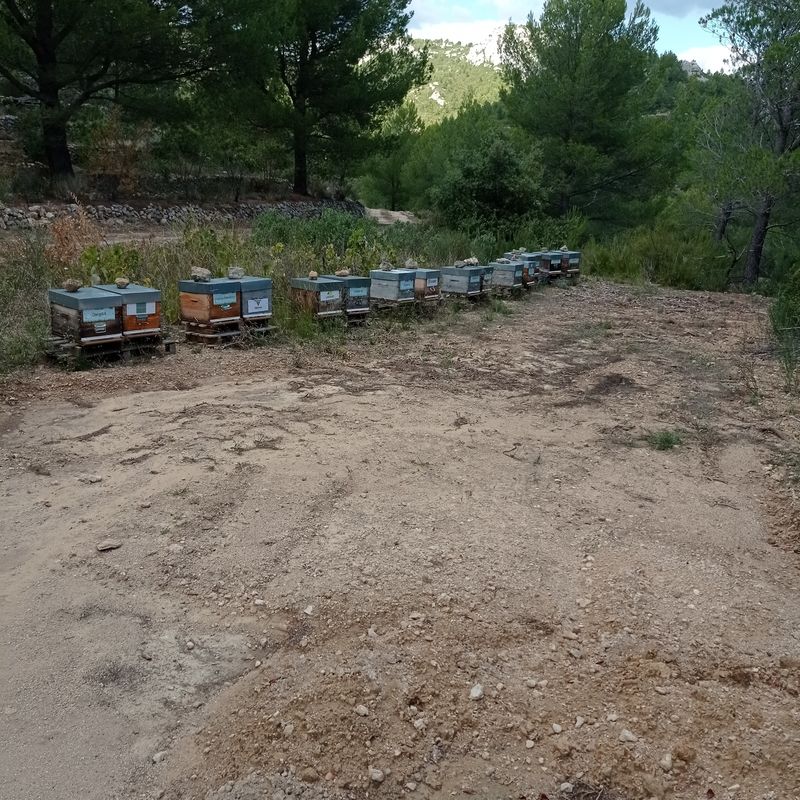 La ruche Azurite Malachite