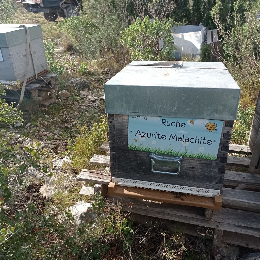 La ruche Azurite Malachite