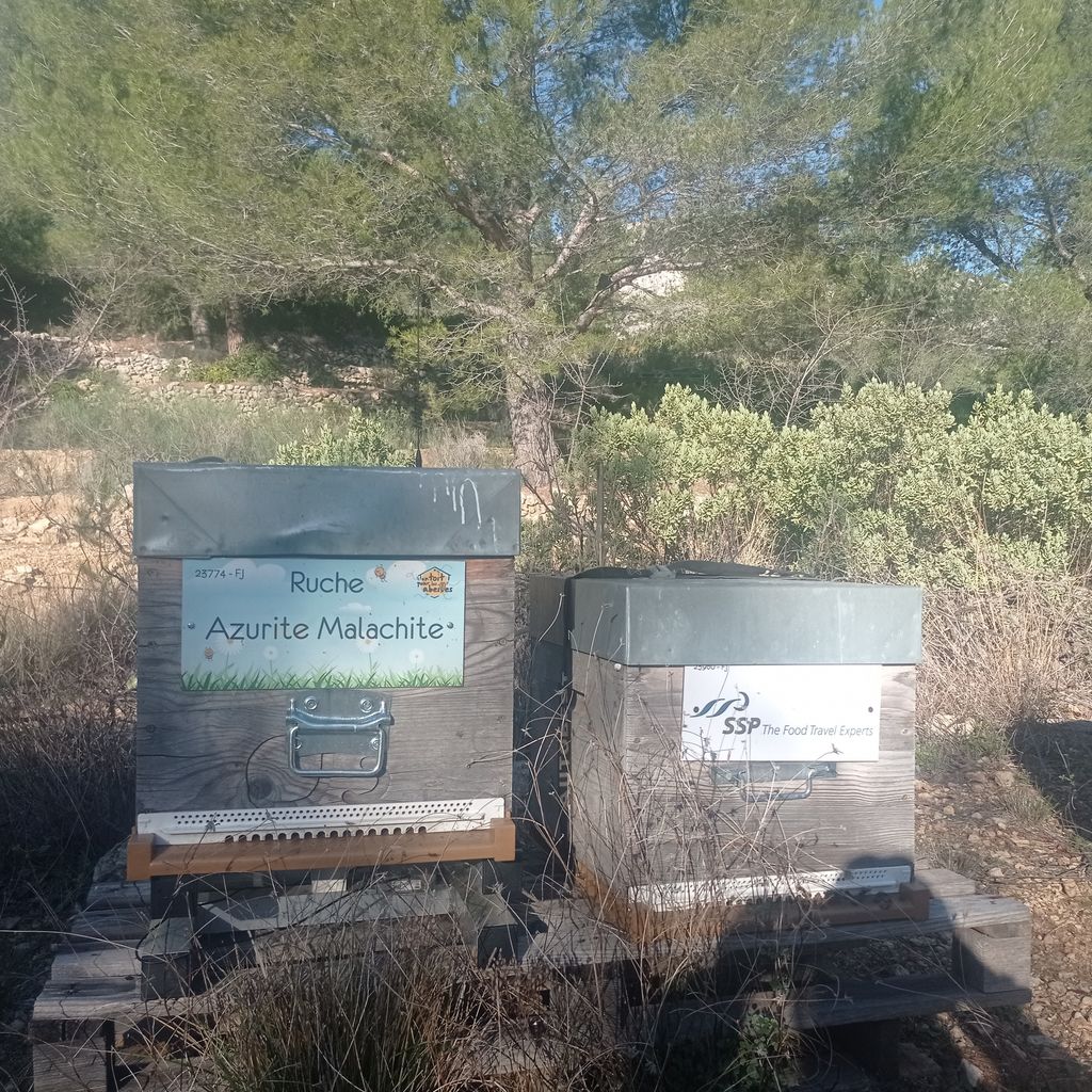 La ruche Azurite Malachite