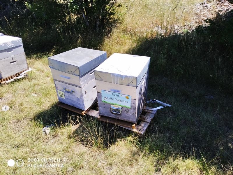 La ruche Azurite Malachite