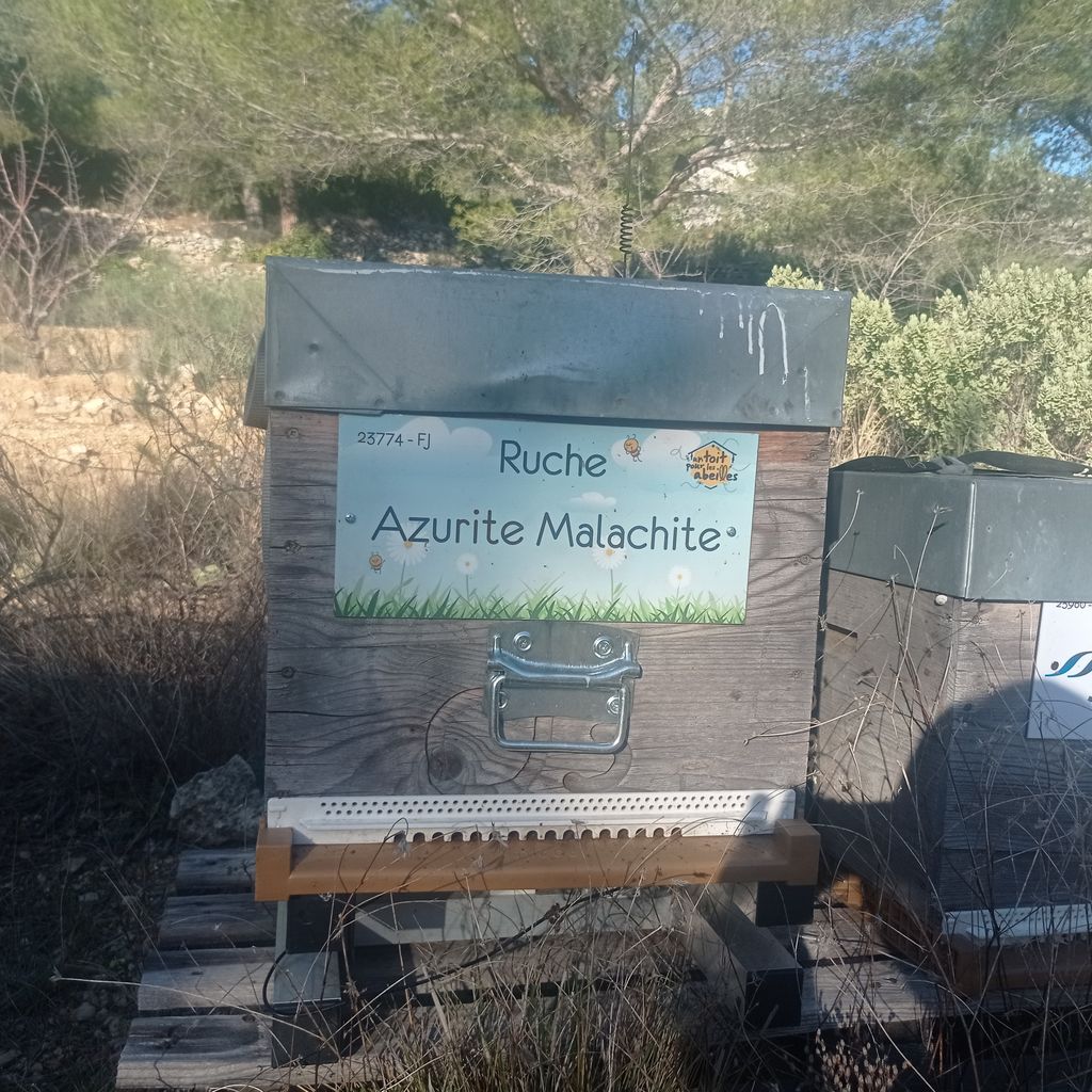 La ruche Azurite Malachite