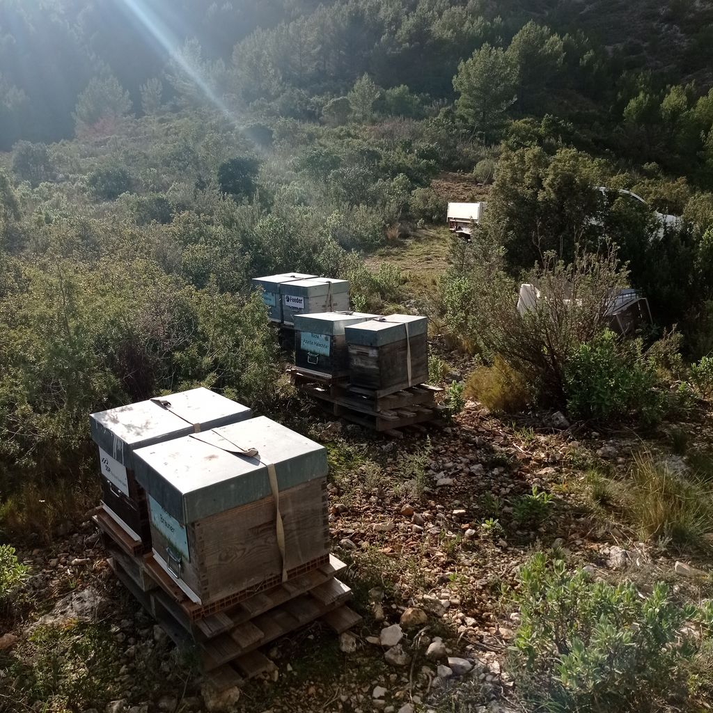 La ruche Azurite Malachite
