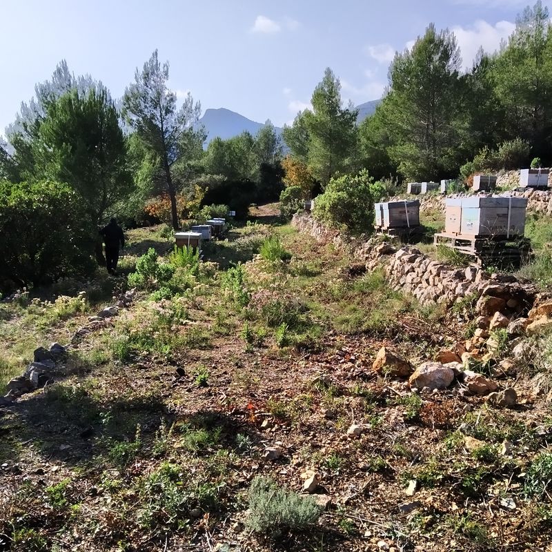 La ruche Azurite Malachite
