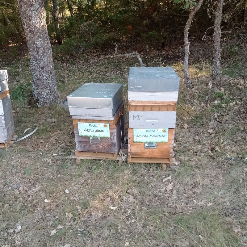 La ruche Azurite Malachite