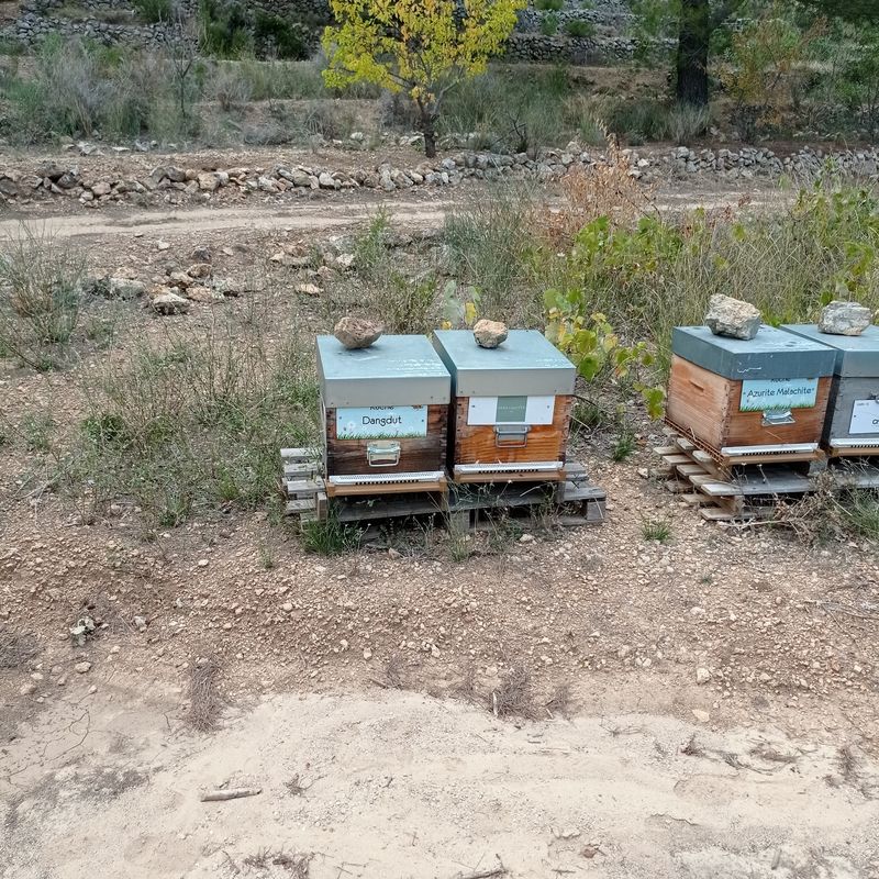 La ruche Azurite Malachite