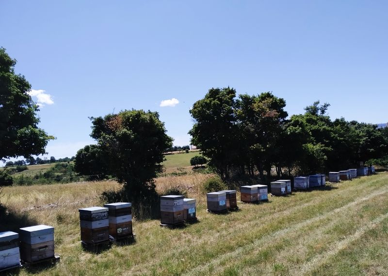La ruche Azurite Malachite