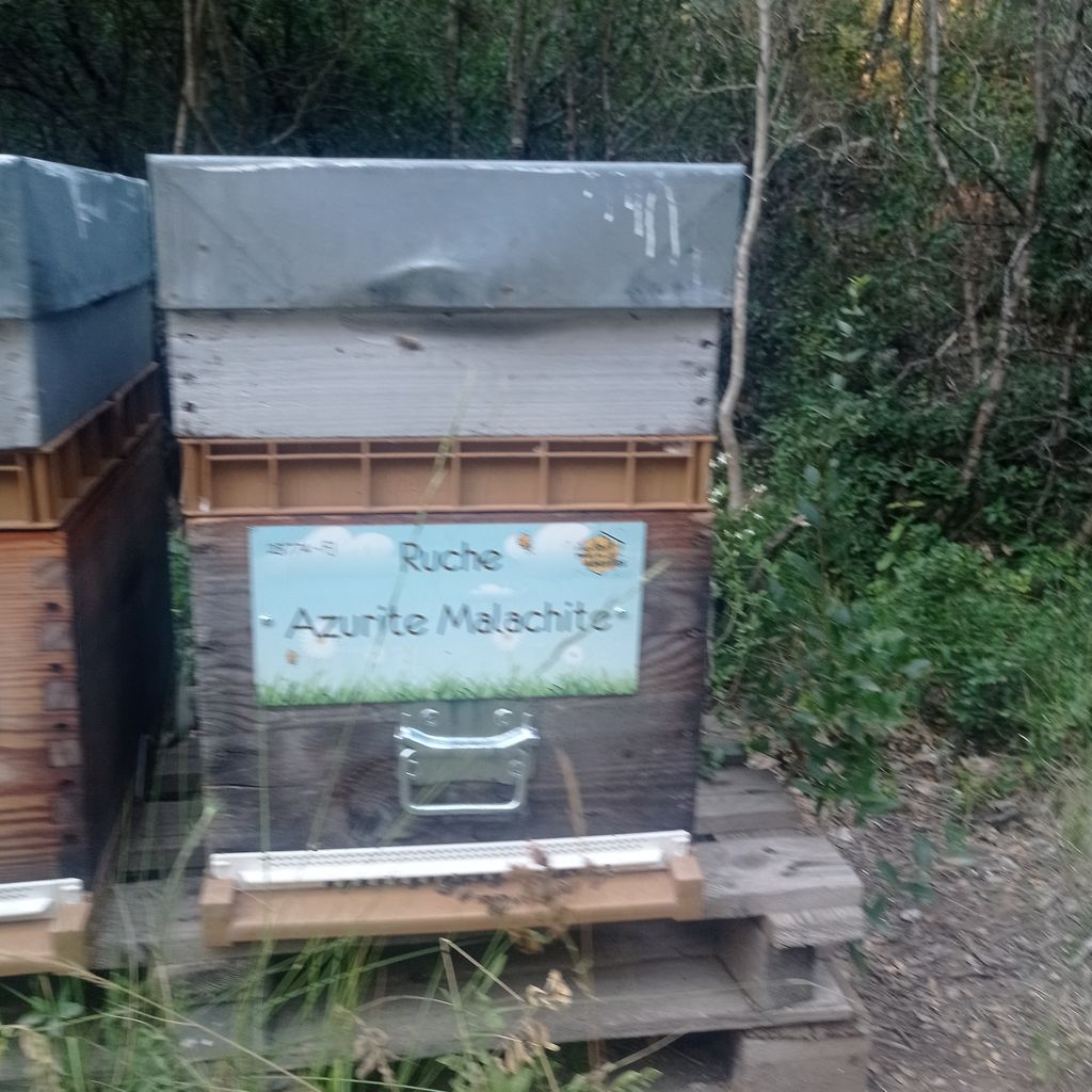 La ruche Azurite Malachite