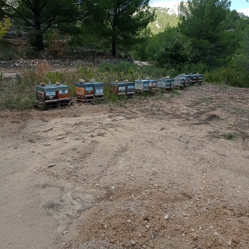 La ruche Azurite Malachite