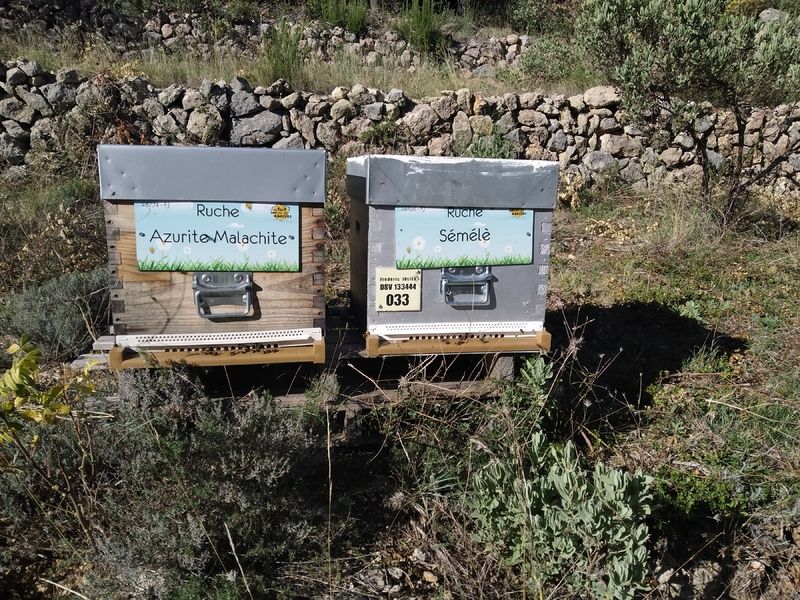 La ruche Azurite Malachite