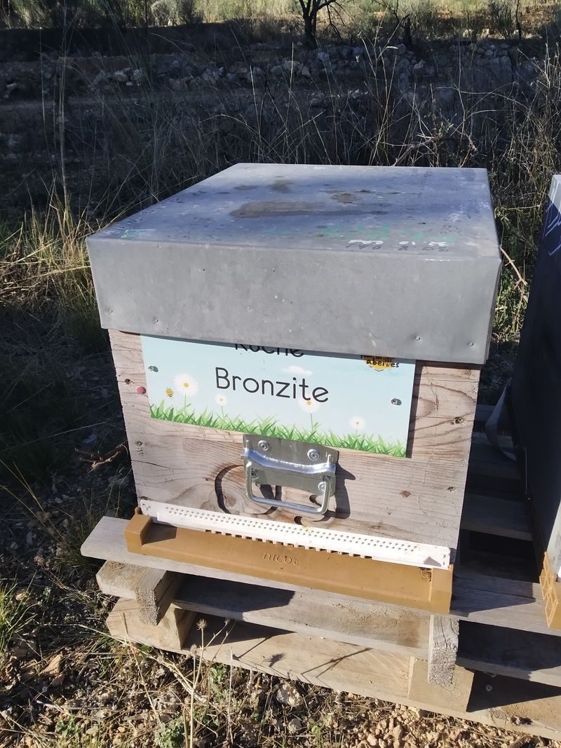 La ruche Bronzite