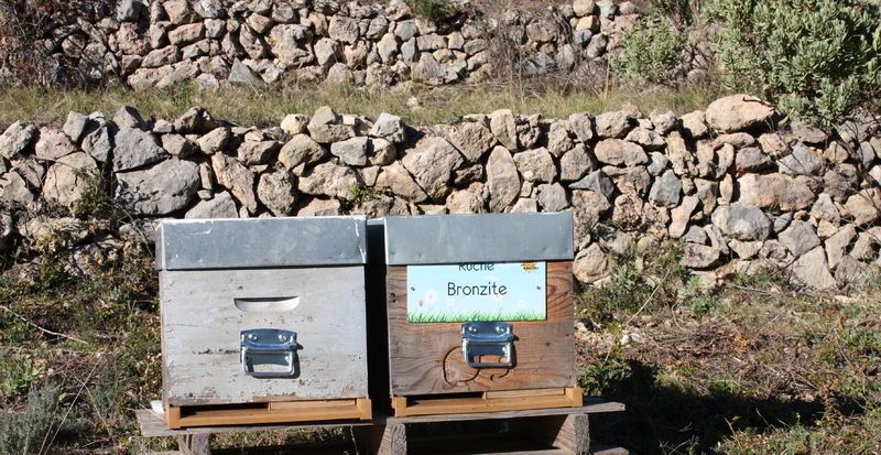 La ruche Bronzite