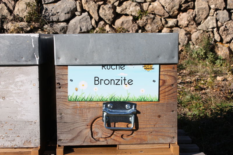 La ruche Bronzite