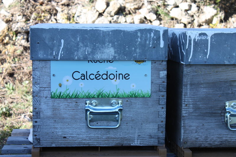 La ruche Calcédoine