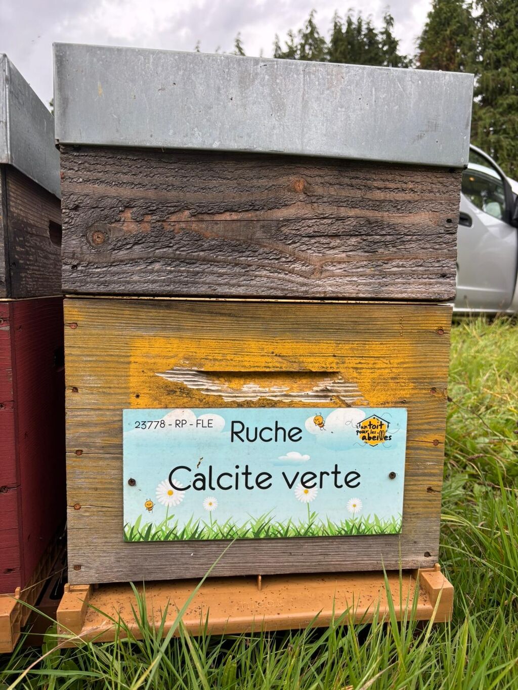 La ruche Calcite verte