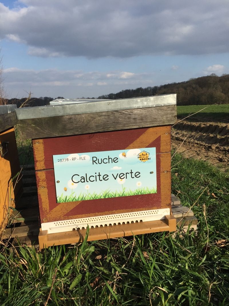 La ruche Calcite verte