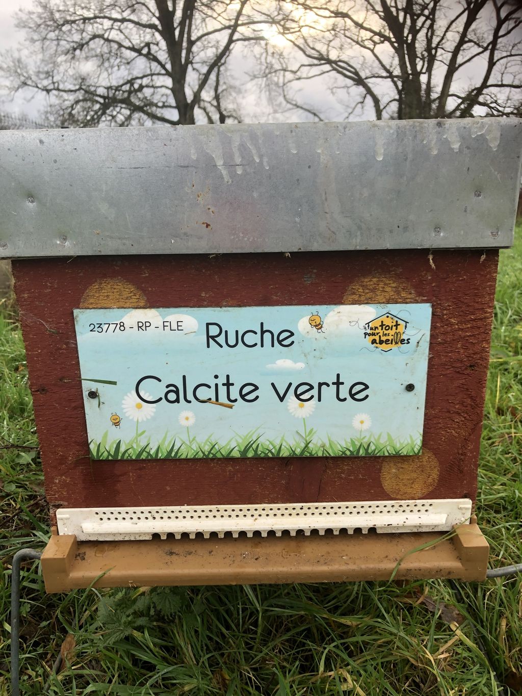 La ruche Calcite verte