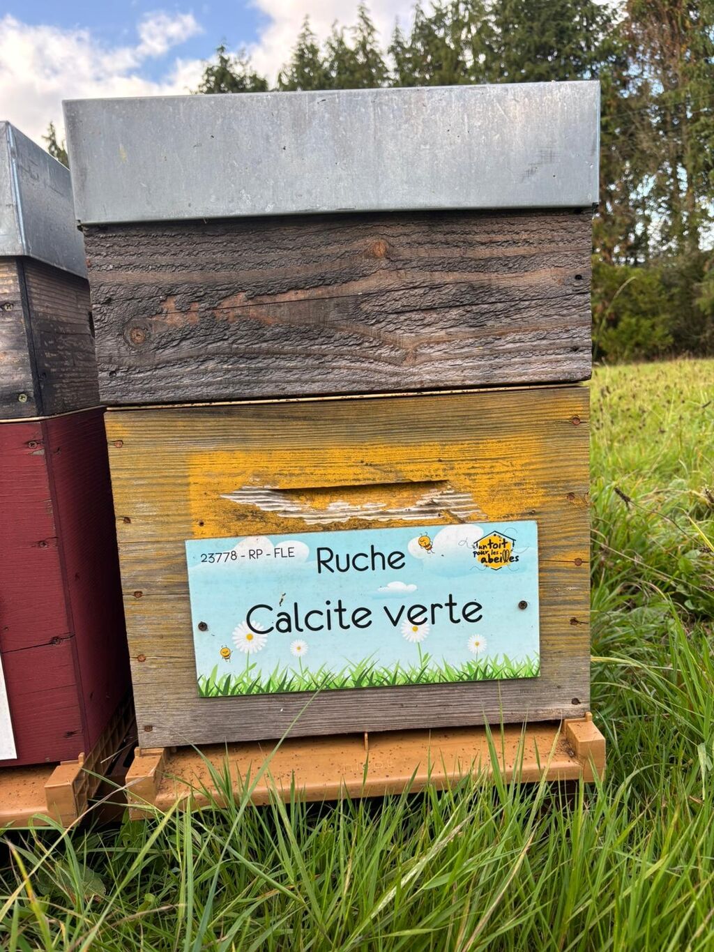 La ruche Calcite verte