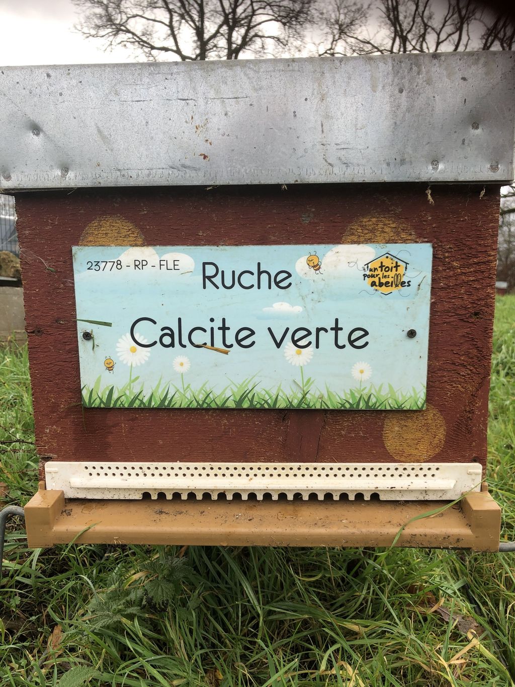 La ruche