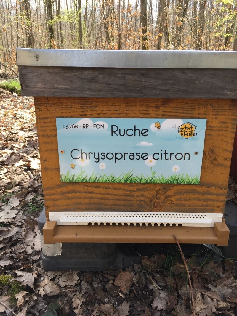 La ruche