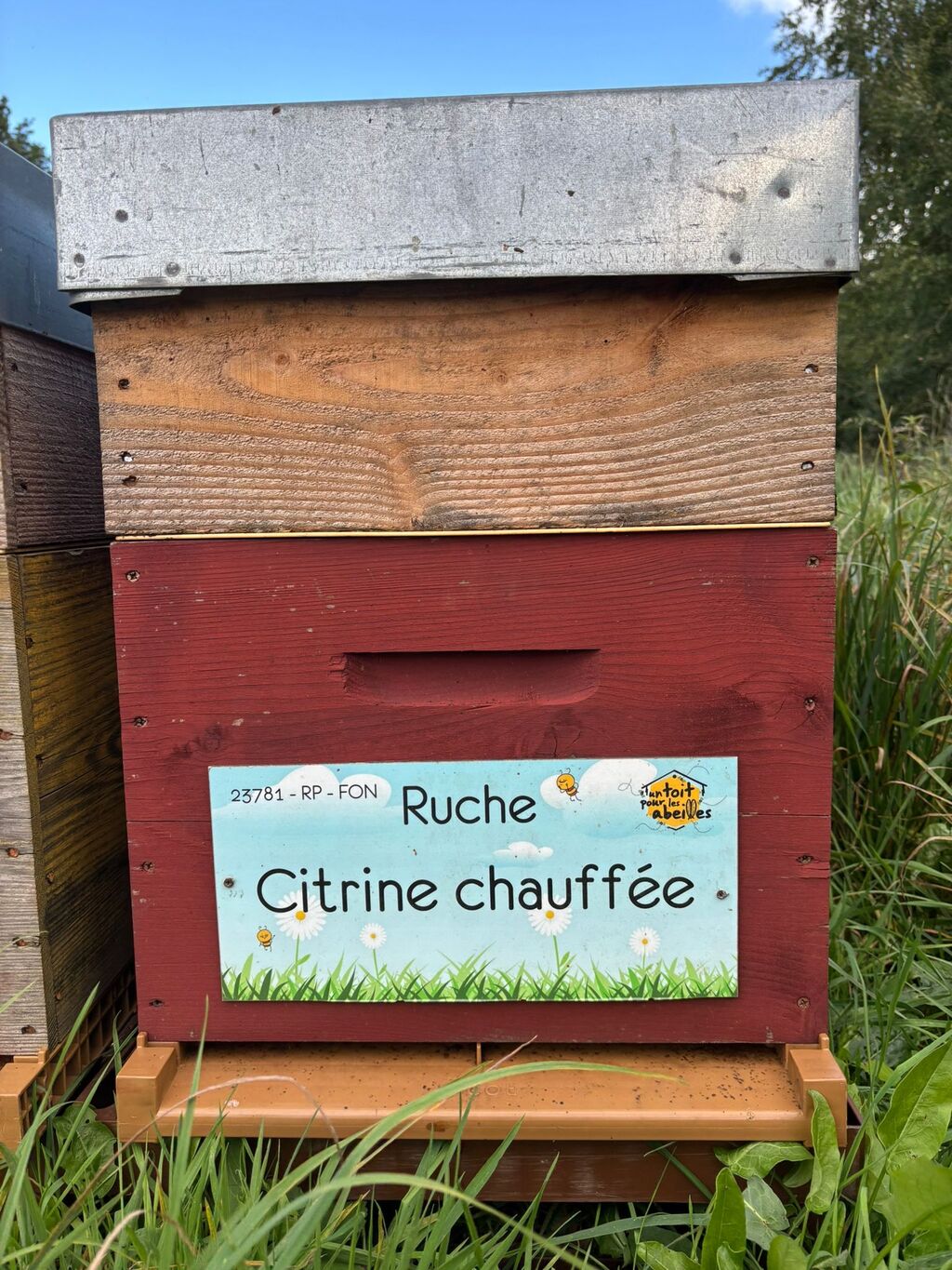 La ruche Citrine chauffée
