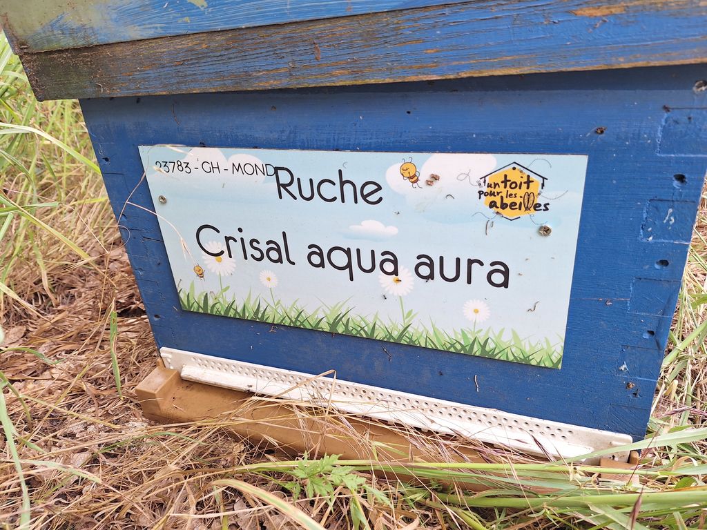 La ruche Crisal aqua aura