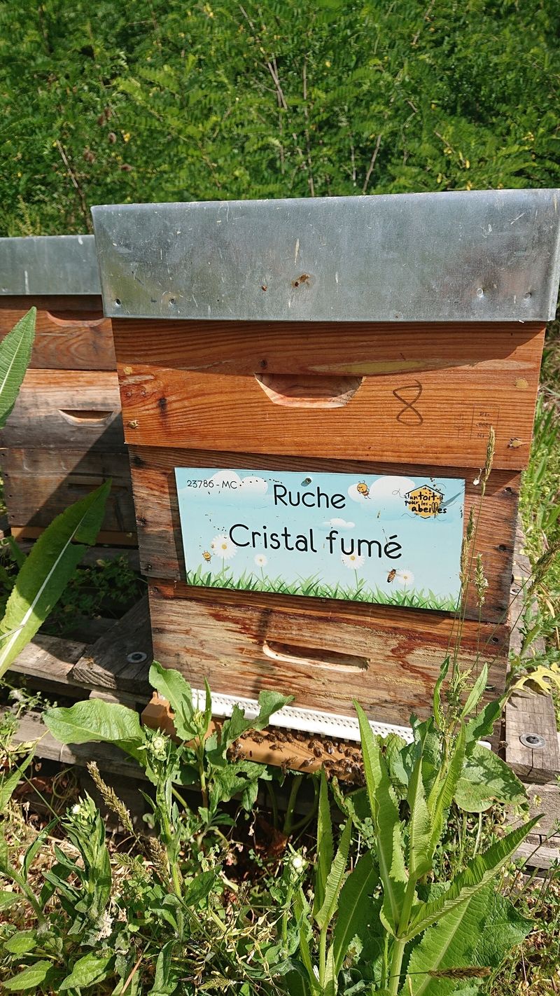 La ruche Cristal fumé