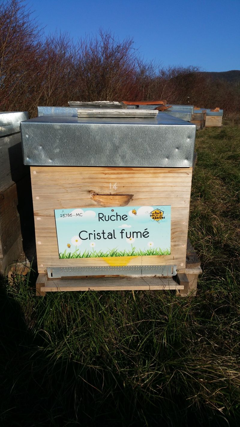 La ruche
