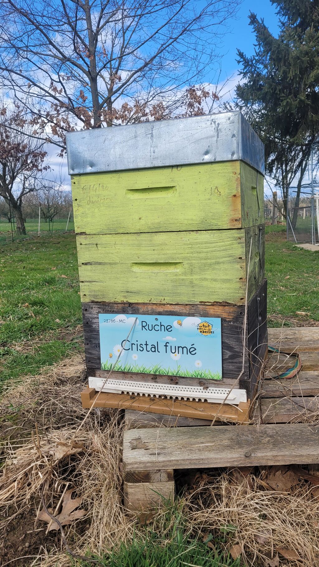La ruche Cristal fumé
