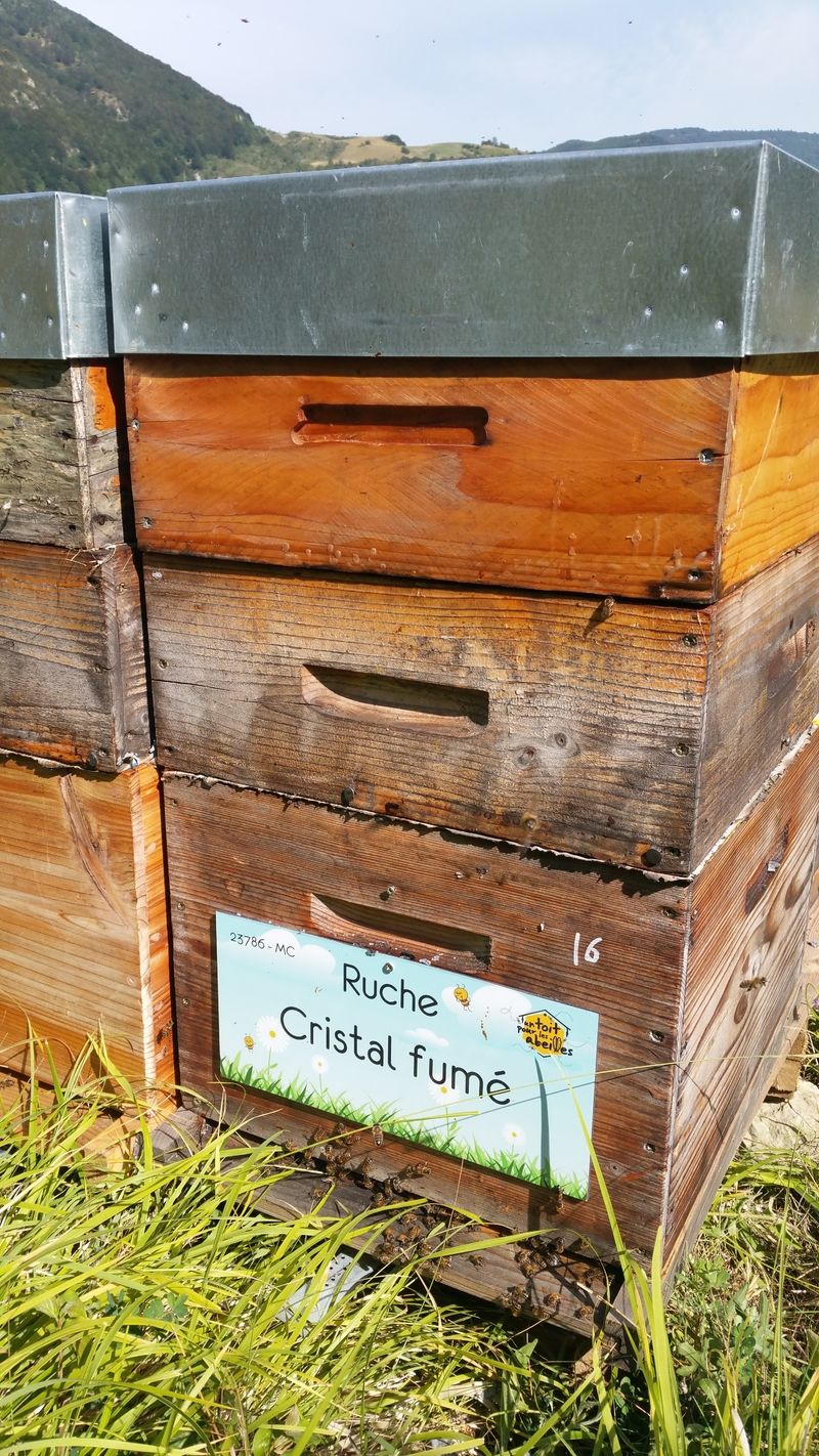 La ruche Cristal fumé