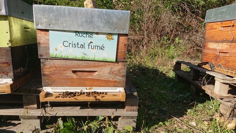 La ruche Cristal fumé