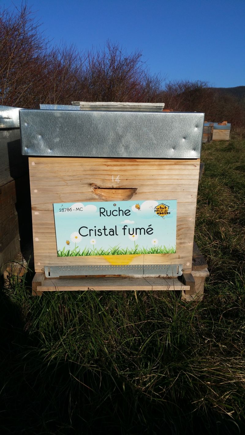 La ruche Cristal fumé