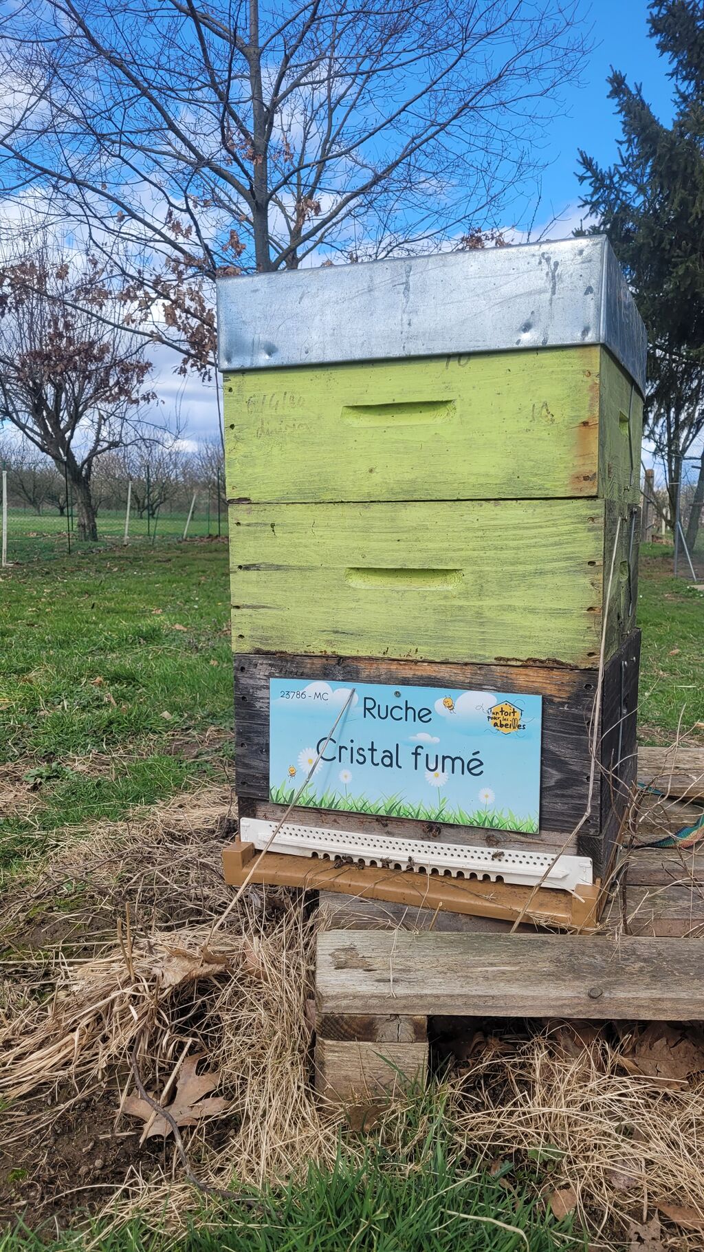 La ruche Cristal fumé